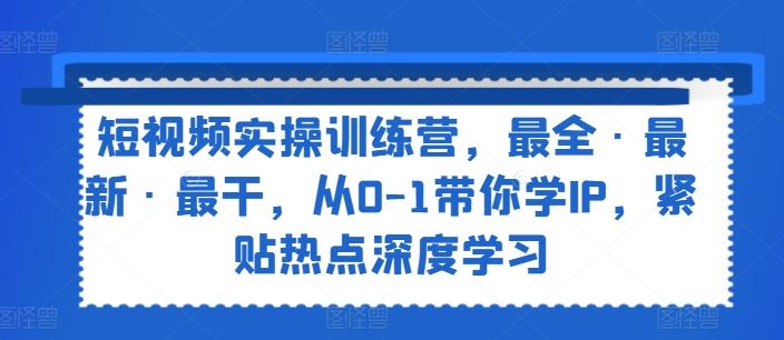 短视频实操训练营，最全·最新·最干，从0-1带你学IP，紧贴热点深度学习-网创项目