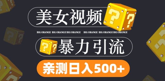 搬运tk美女视频全网分发，日引s粉300+，轻松变现，不限流量不封号-网创项目