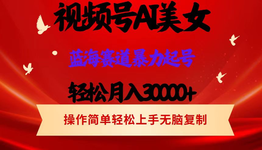 （12178期）视频号AI美女跳舞，轻松月入30000+，蓝海赛道，流量池巨大，起号猛，当…-网创项目