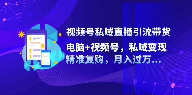 （12249期）视频号私域直播引流带货：电脑+视频号，私域变现，精准复购，月入过万…-网创项目