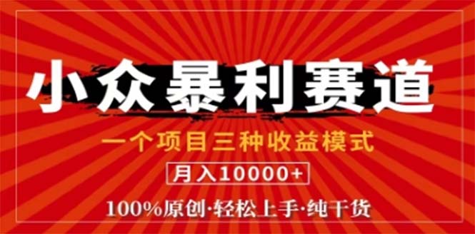 视频号最新爆火赛道，三种可收益模式，0粉新号条条原创条条热门 日入1000+-网创项目