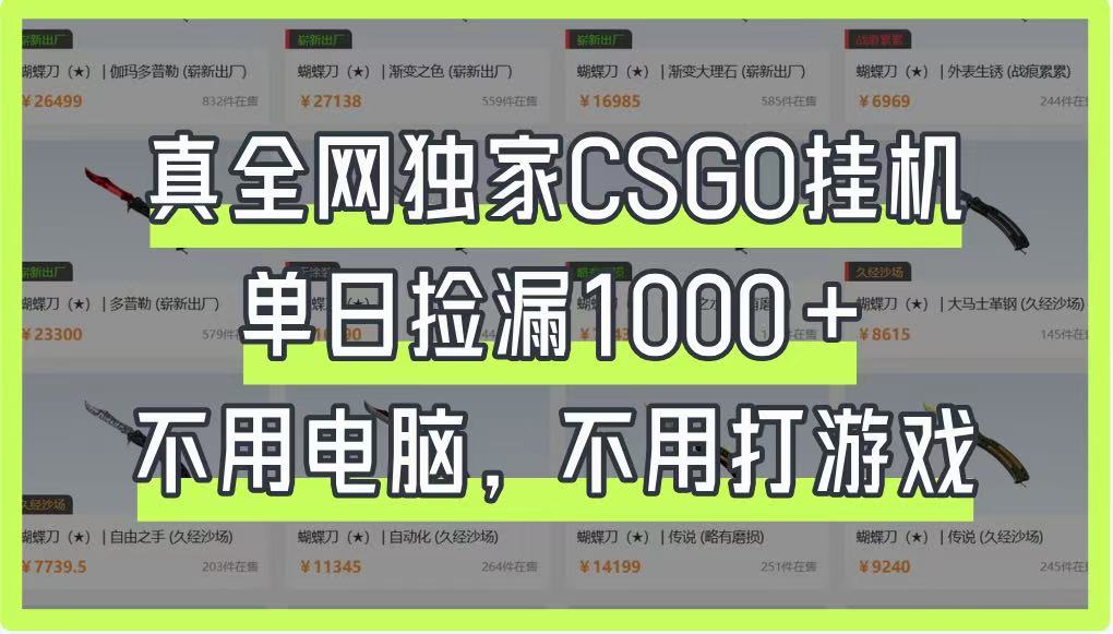 真全网独家CSGO挂机，单日捡漏1000+，不用电脑，不用养号-网创项目