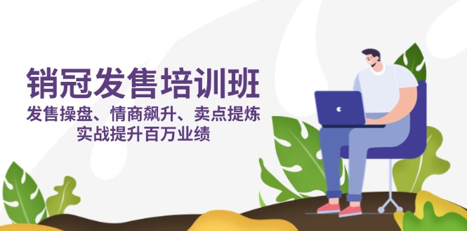 销冠 发售培训班：发售 操盘+情商 飙升+卖点 提炼，实战提升百万业绩-网创项目
