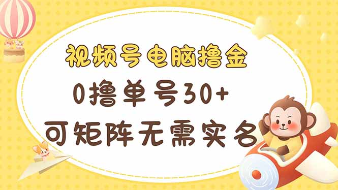 视频号电脑撸金 0撸单号30+ 可矩阵 无需实名多号多得-网创项目