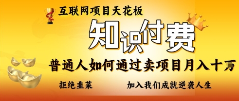 互联网项目天花板，知付付费项目，普通人如何通过卖项目月入十个，拒绝韭菜【揭秘】-网创项目
