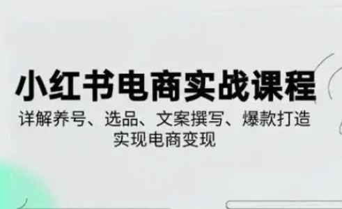 小红书从0-1实操课(2023-2025)，详解养号、选品、文案撰写、爆款打造实现电商变现-网创项目