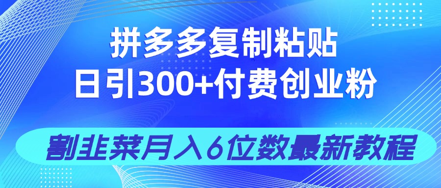 拼多多复制粘贴日引300+付费创业粉，割韭菜月入6位数最新教程！-网创项目