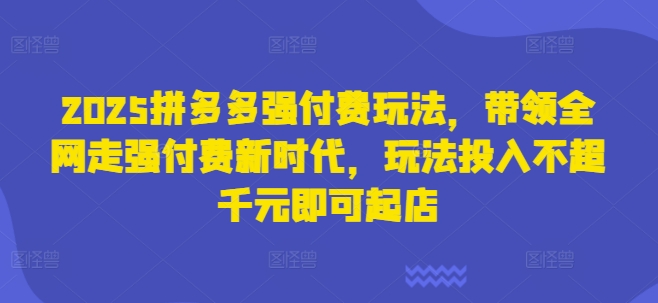 2025拼多多强付费玩法，带领全网走强付费新时代，玩法投入不超千元即可起店-网创项目