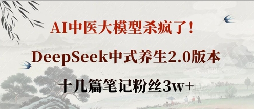 AI中医大模型杀疯了！DeepSeek中式养生2.0版本，十几篇笔记粉丝3w+-网创项目