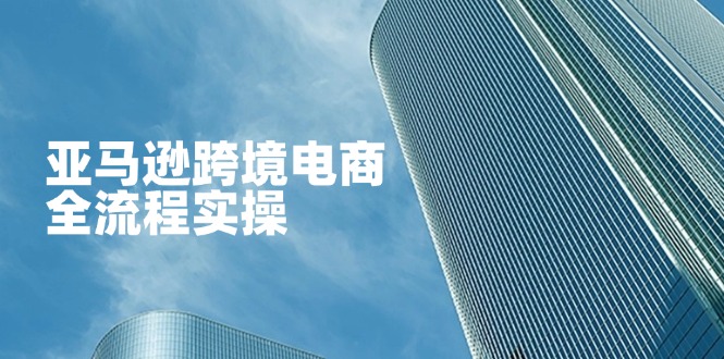 亚马逊跨境电商全流程实操，教你从零开始，掌握店铺运营与广告技巧-网创项目