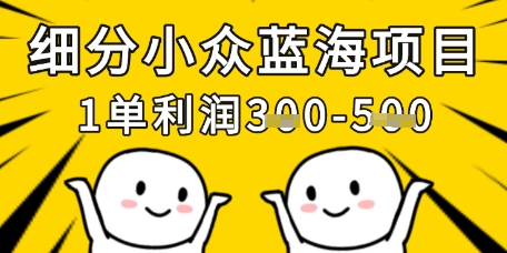 细分小众蓝海项目，一单利润3张，每月收入稳定过1w+-网创项目