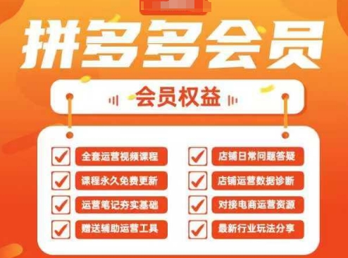 2025拼多多运营实战课，40节全流程教学，覆盖拼多多运营全链路-网创项目