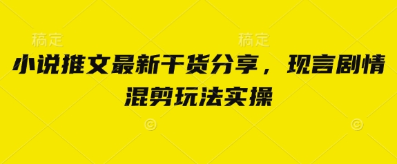 小说推文最新干货分享，现言剧情混剪玩法实操-网创项目