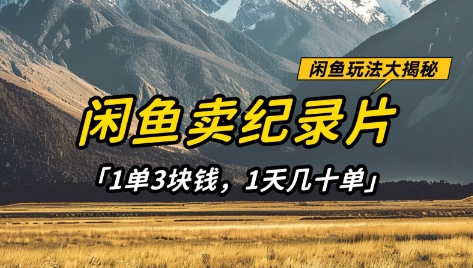 闲鱼卖纪录片1单3块钱，1天几十单，项目稳定有潜力-网创项目
