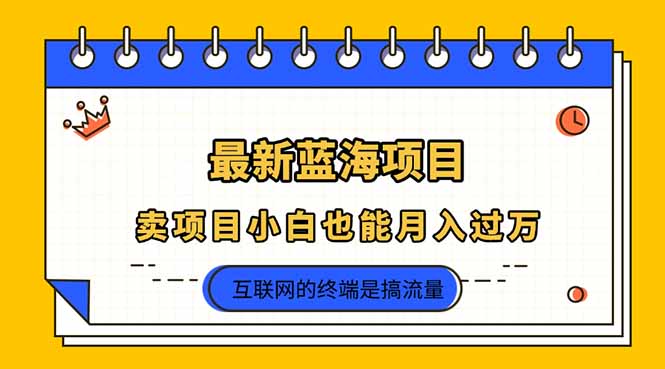 2025年最新蓝海项目，卖项目小白也能月入过万-网创项目