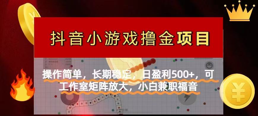 【抖音小游戏发行人计划项目】操作简单，长期稳定，日盈利500+，可工作…-网创项目