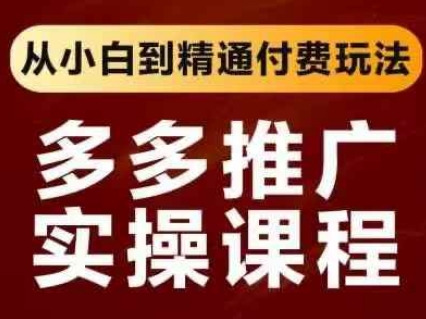 拼多多推广实操课程，从小白到精通付费玩法-网创项目