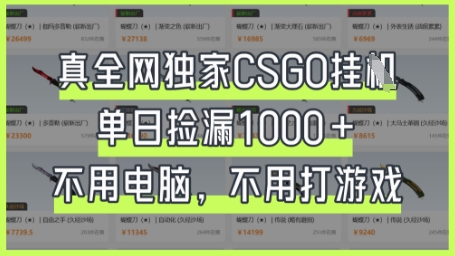 真全网独家CSGO挂G，单日捡漏1k+【揭秘】-网创项目