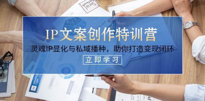 IP文案创作特训营，灵魂IP显化与私域播种，助你打造变现闭环(14节课)-网创项目