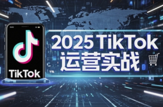 2025TikTok电商运营，掌握TikTok店铺运营核心技巧，实现低成本高转化-网创项目