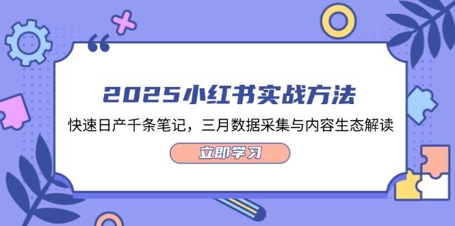 2025小红书实战方法，快速日产千条笔记，三月数据采集与内容生态解读-网创项目