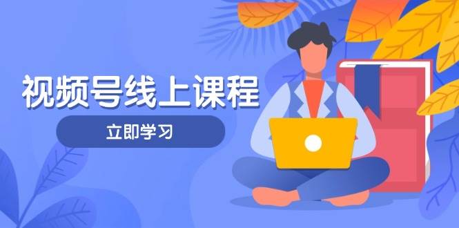 视频号实战课程，轻IP打造与运营技巧，掌握核心方法与策略-网创项目