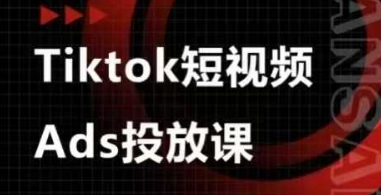 Ads视频投放课，tiktok短视频广告投放课-网创项目