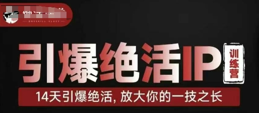 引爆绝活IP训练营，14天引爆绝活，放大你的一技之长-网创项目