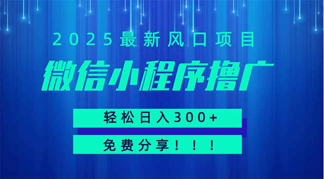 微信小程序撸广，最新风口项目，日入300+ 免费分享 可批量操作 小白可…-网创项目