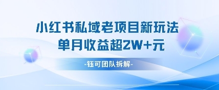 小红书私域项目新玩法，单月变现过W+-网创项目