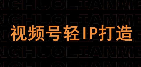 视频号线上课程，视频号轻IP打造-网创项目