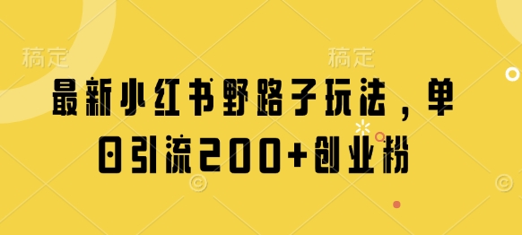 最新小红书野路子玩法，单日引流200+创业粉-网创项目