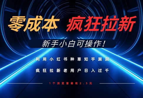 利用小红书种草知乎漏洞，零成本疯狂拉新日入数张，新手小白可操作-网创项目