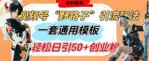 视频号“野路子”玩法，评论区疯狂截流，一套模板单日单号引流50+创业粉-网创项目