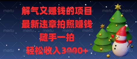 解气又挣钱的项目，最新违章拍照挣钱，随手一拍，轻松收入多张【揭秘】-网创项目