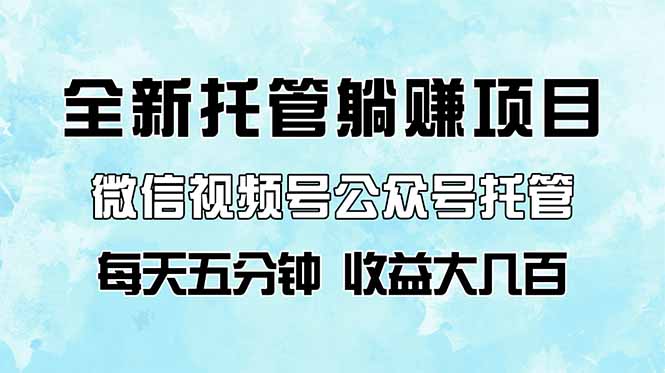 全新托管躺赚项目，微信视频号公众号托管代运营，每天五分钟，收益大几百-网创项目
