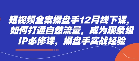 短视频全案操盘手12月线下课，如何打通自然流量，成为现象级IP必修课，操盘手实战经验-网创项目