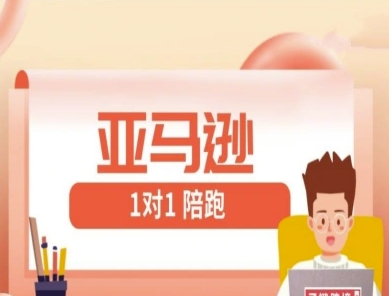亚马逊1对1陪跑课(FBA/FBM精铺)跨境亚马逊教程-网创项目
