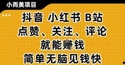 小而美的项目，抖音小红书B站视频点赞、关注、评论就能挣钱，简单无脑立见收益，妥妥的零撸项目【揭秘】-网创项目