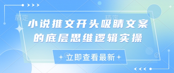 小说推文开头吸睛文案的底层思维逻辑实操-网创项目