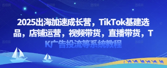2025出海加速成长营，TikTok基建选品，店铺运营，视频带货，直播带货，TK广告投流等系统教程-网创项目