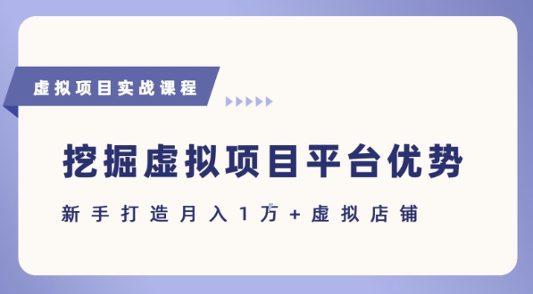 抓住虚拟项目各平台优势，新手轻松月入1W+(给出具体建议)-网创项目