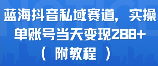蓝海抖音私域赛道，实操单账号当天变现288+(附教程)-网创项目