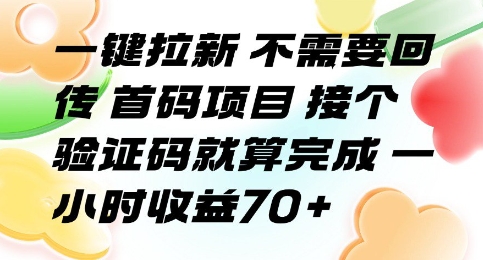 一键拉新 不需要回传 首码项目 接个验证码就算完成 一小时收益70+【揭秘】-网创项目
