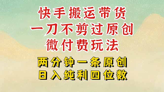 快手黑科技搬运带货，一刀不剪过原创，微付费投流玩法，轻松日入四位数…-网创项目