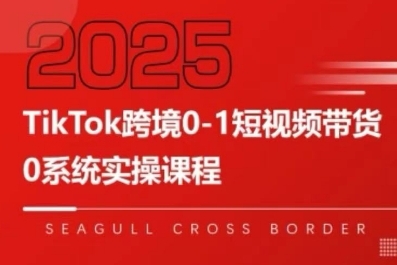TikTok跨境0-1短视频带货，系统拆解TikTok跨境带货全链路，实现跨境可持续盈利-网创项目