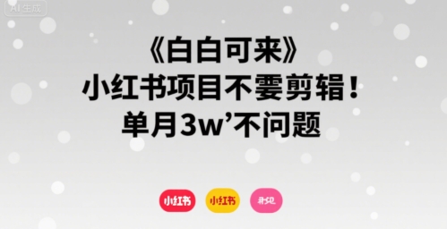 小白可来 小红书项目不需要剪辑 单月3w不是问题-网创项目