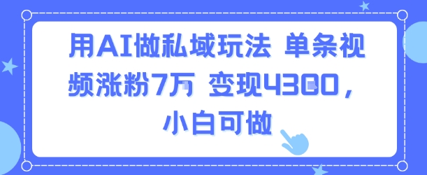 用AI做私域玩法，单条视频涨粉7W变现4.3k，小白可做-网创项目