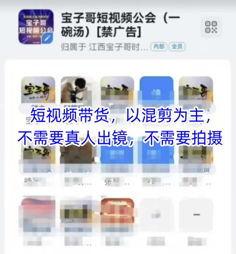 宝子哥头部团队短视频带货，以混剪为主，不需要真人出镜，不需要拍摄【更新8月】-网创项目