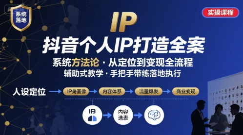 抖音个人IP系统落地实操大课，实操课程，辅助落地-网创项目